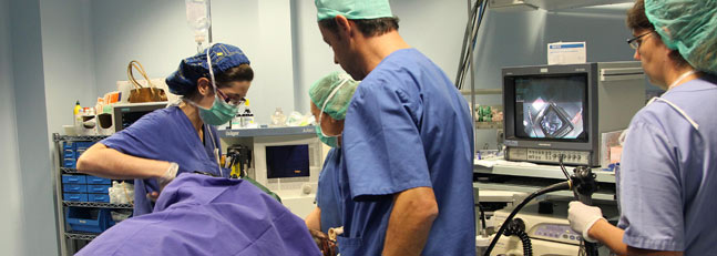 Testimonio: “He conseguido bajar 20 kilos en los primeros cinco meses”