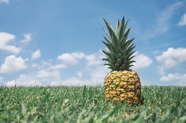 Consejos para retomar la dieta en septiembre